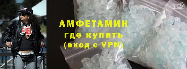 прущие грибы Няндома