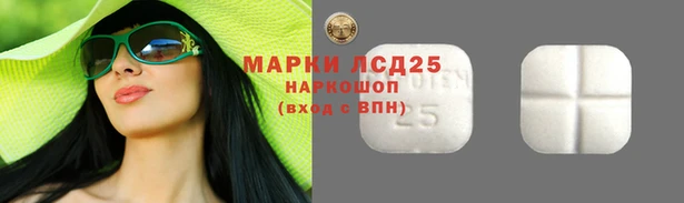 герыч Новодвинск